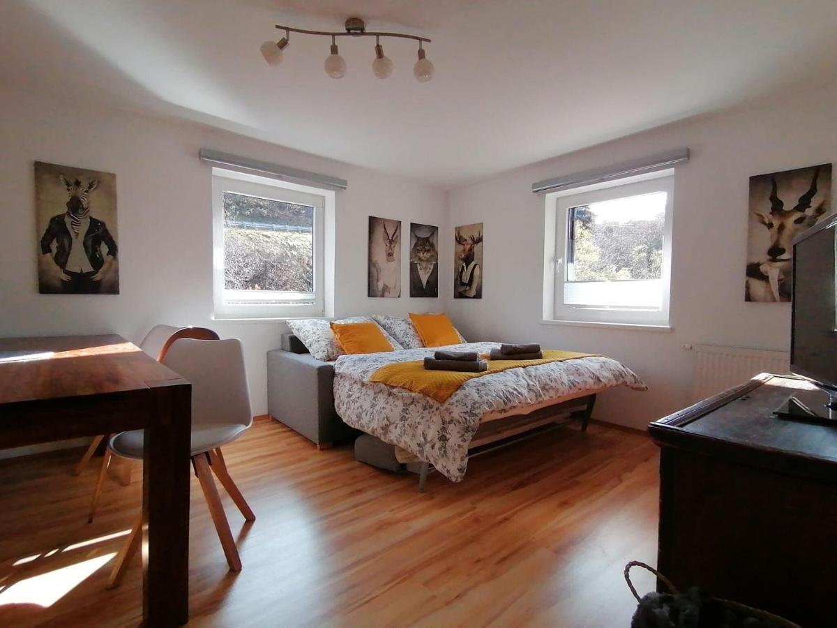 Apartment In Dienten With Mountain Views Dienten am Hochkönig 外观 照片