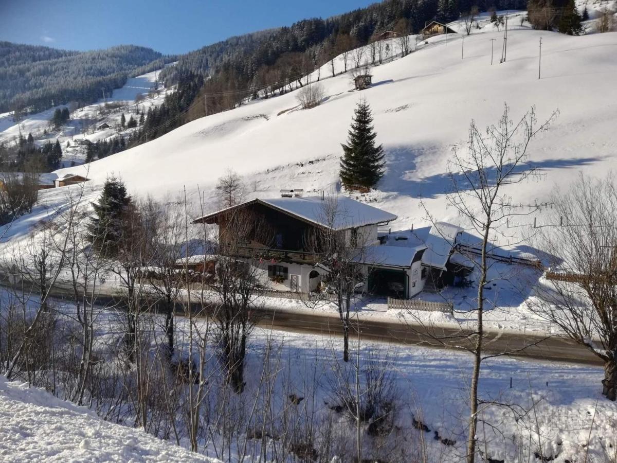 Apartment In Dienten With Mountain Views Dienten am Hochkönig 外观 照片